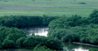 Kottaro Marsh Observatory