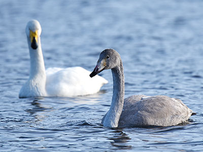 Inspirations awaiting at Lake Akan and its surroundings